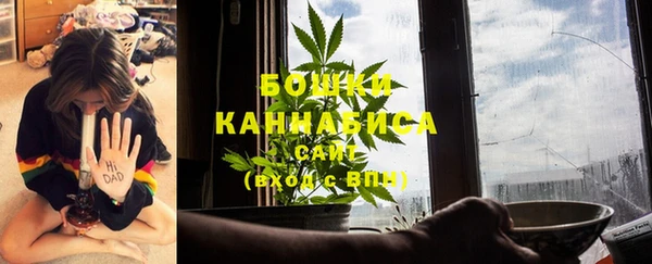 бошки Сосновка