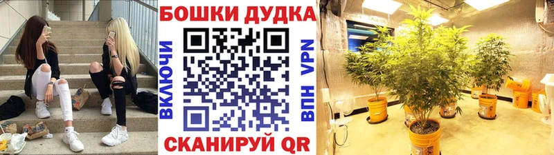ОМГ ОМГ tor Сосногорск Бошки Шишки MAZAR